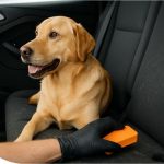 How-to-Get-Dog-Hair-Out-of-Your-Car-for-Good