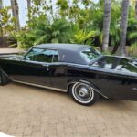 parking-under-trees-damage-car