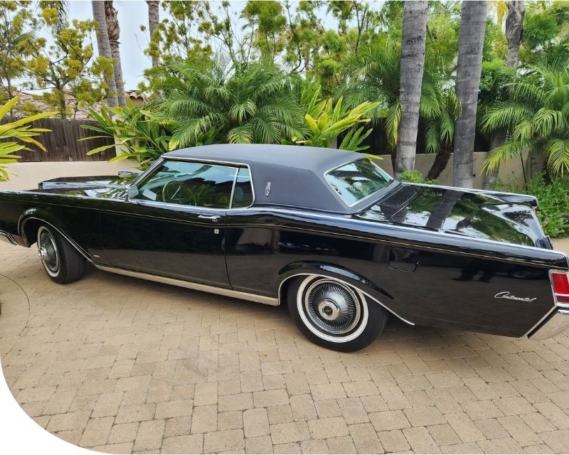 parking-under-trees-damage-car