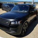 professional car detailer inspecting vehicle paint condition before detailing